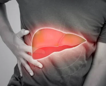 liver
