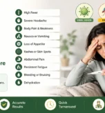 viral fever symptoms