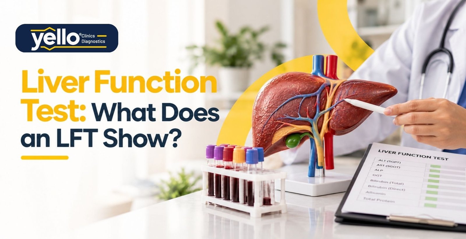 Liver Function Test: What Does an LFT Show?